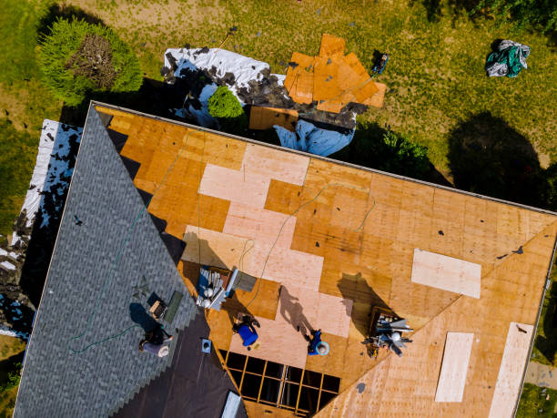 Best Roof Restoration Services  in East End, AR