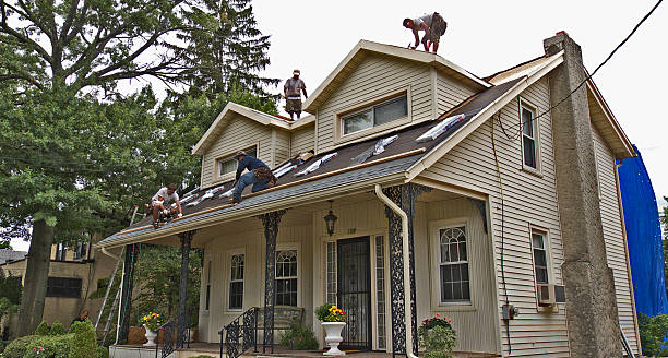 Best Roof Gutter Cleaning  in East End, AR